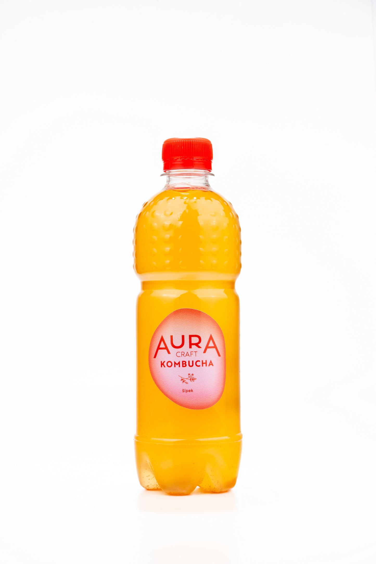 Aura Kombucha Šípek – lahev 500 ml s macerovaným šípkem