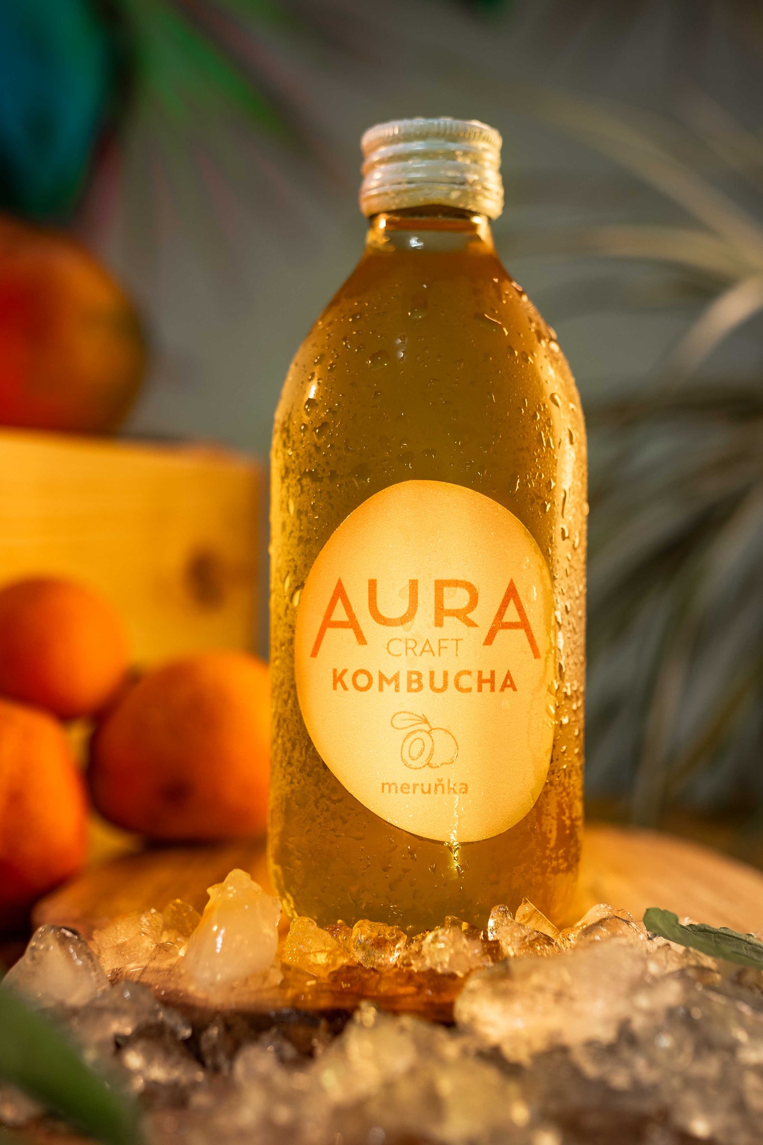 Aura Kombucha Meruňka – lahev 330 ml s čerstvými meruňkami