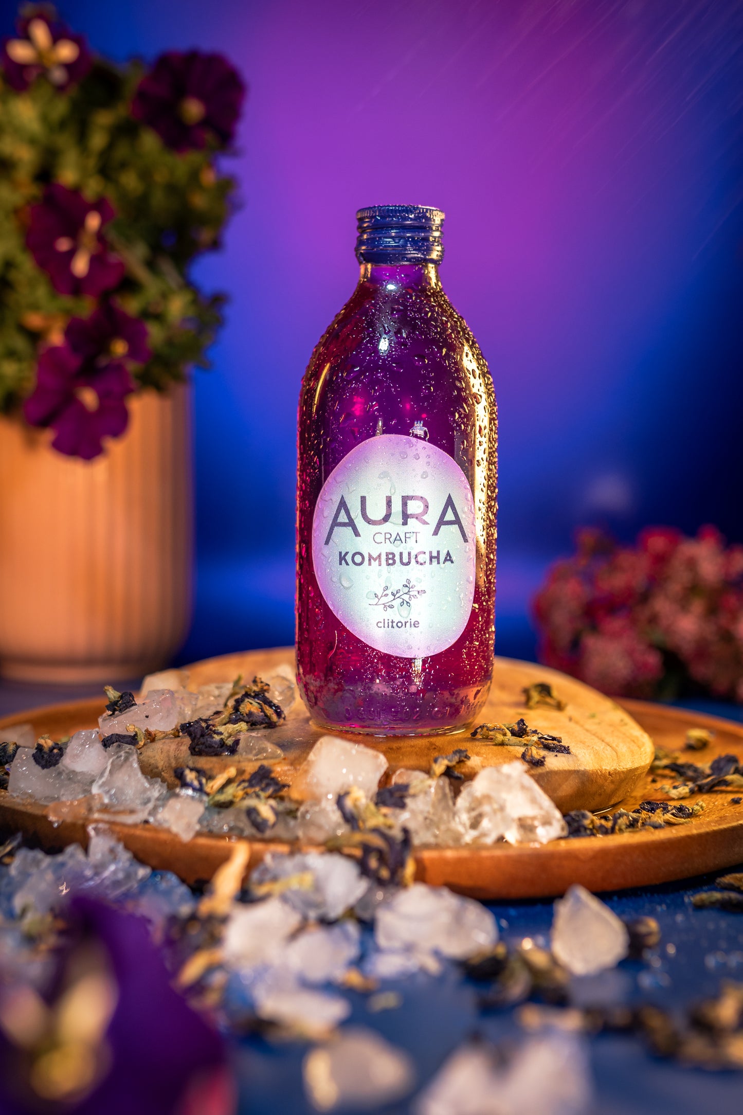 Aura Kombucha Clitorie